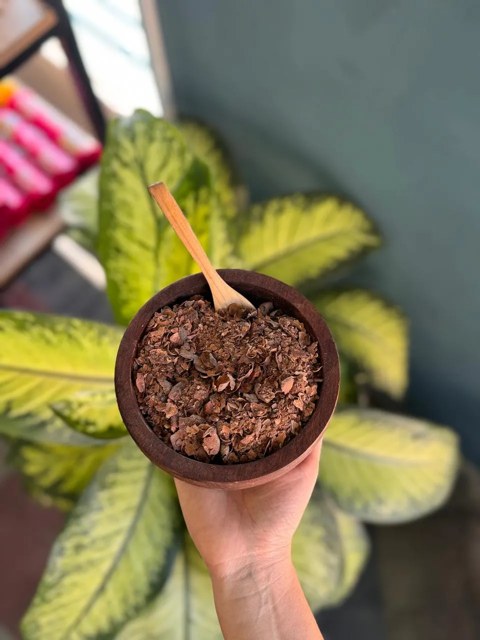 Cascarilla de cacao
