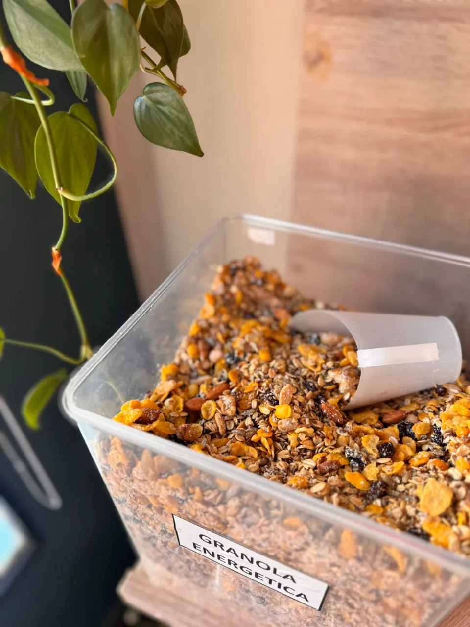 Granola energetica
