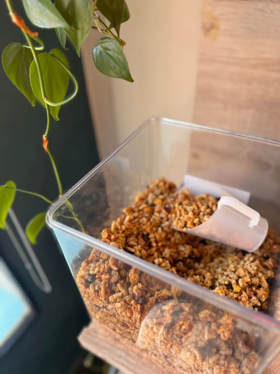 Granola frutos rojos