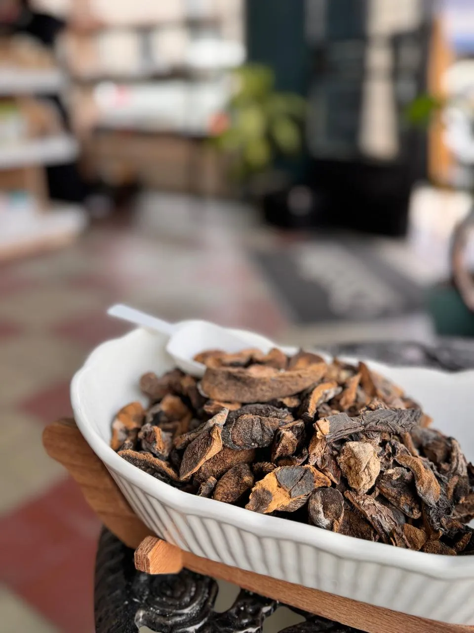 Hongos de pino