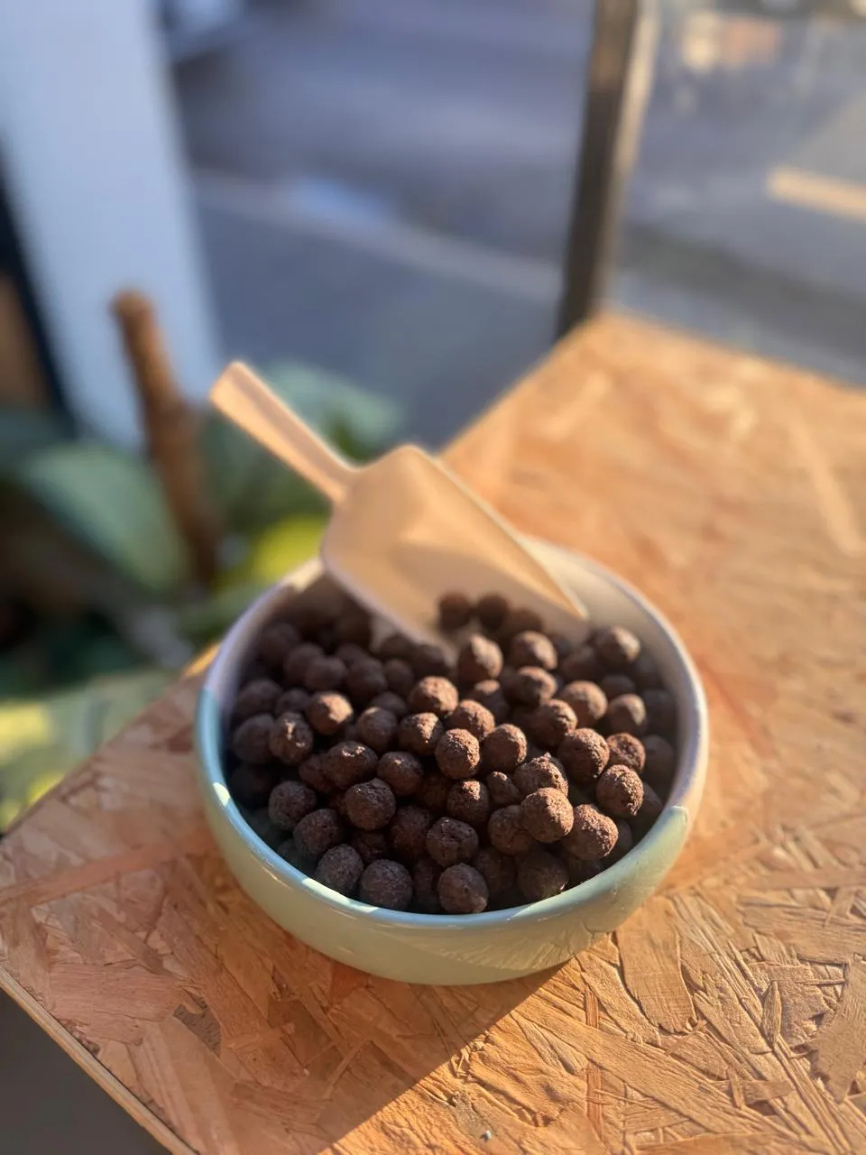 Baloncitos de chocolate