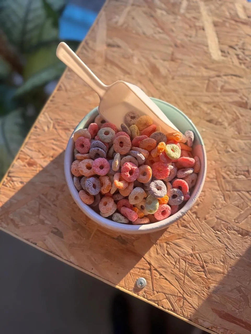 Aritos frutales