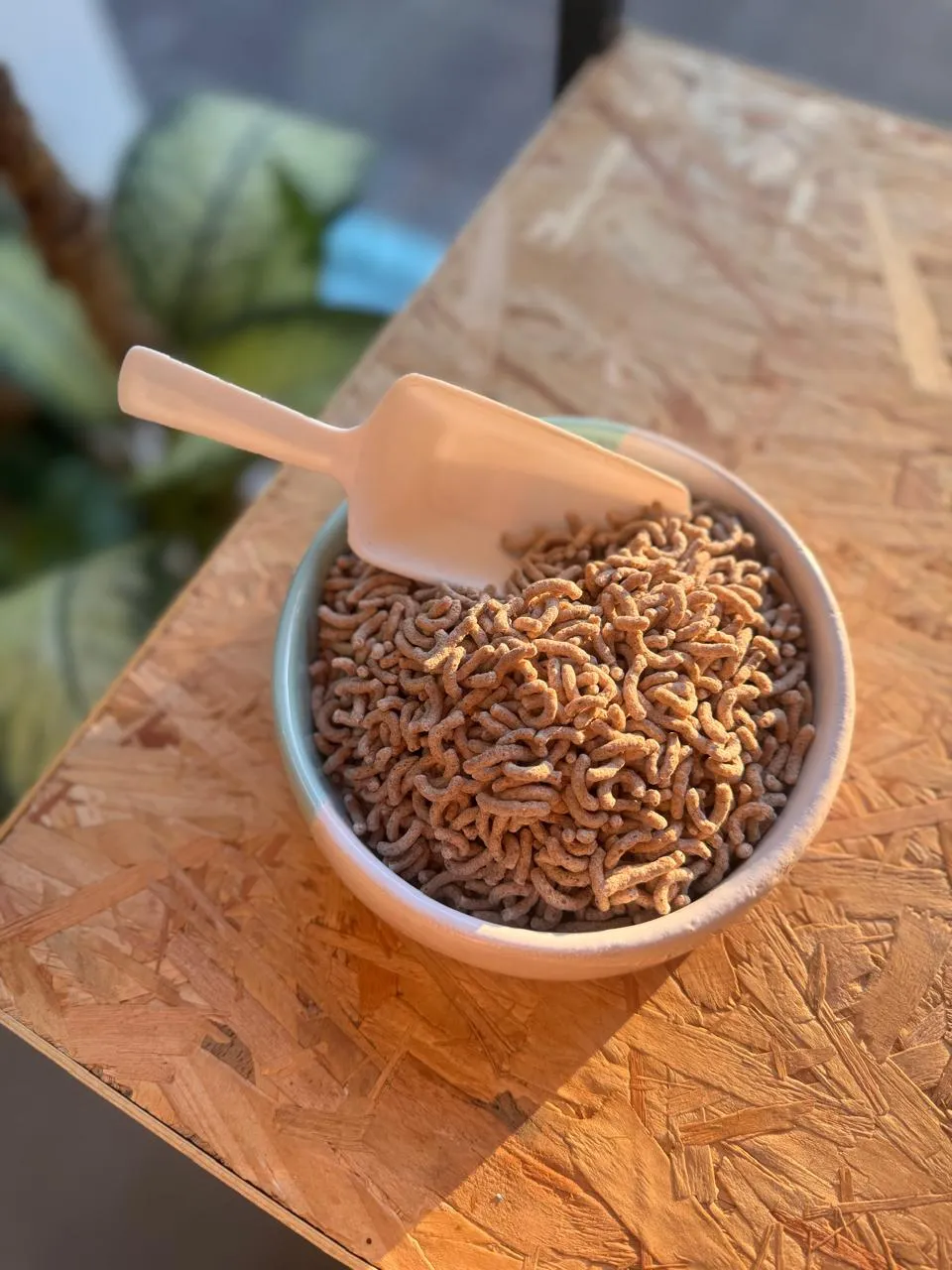 Hebras de chia