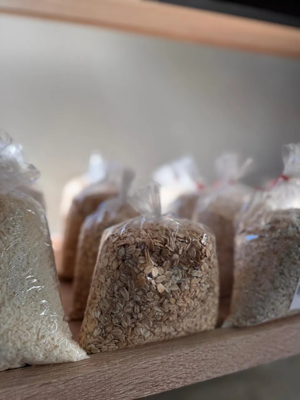 Avena arrollada