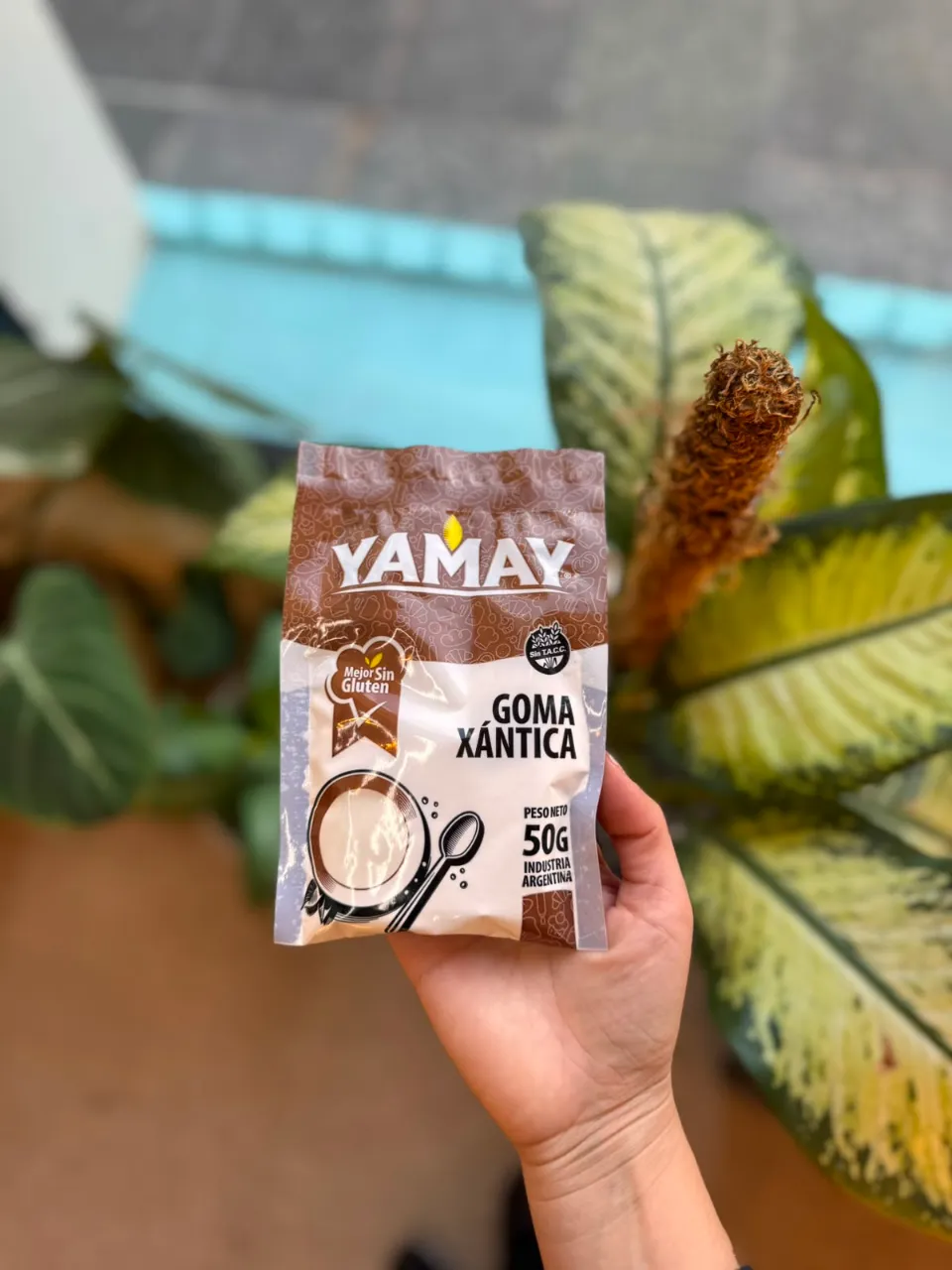Goma Xántica Yamay 50g