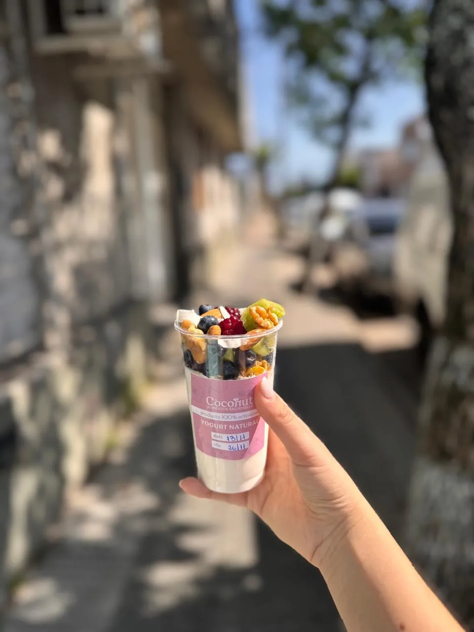 Yogurt natural con granola y frutas de estacion