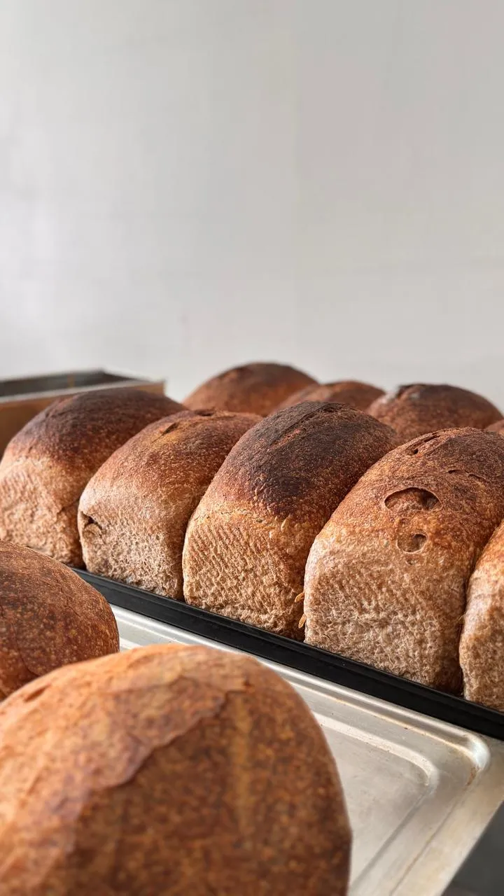 Pan integral de masa madre de molde