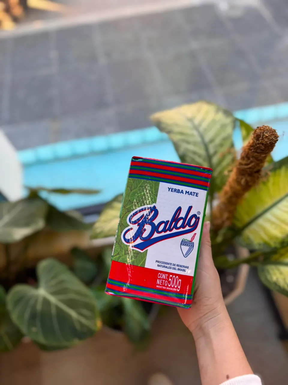 Yerba Baldo 500g