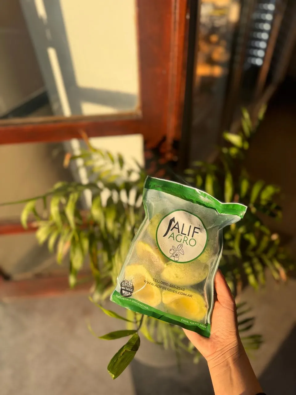 Palta en trozos Alif