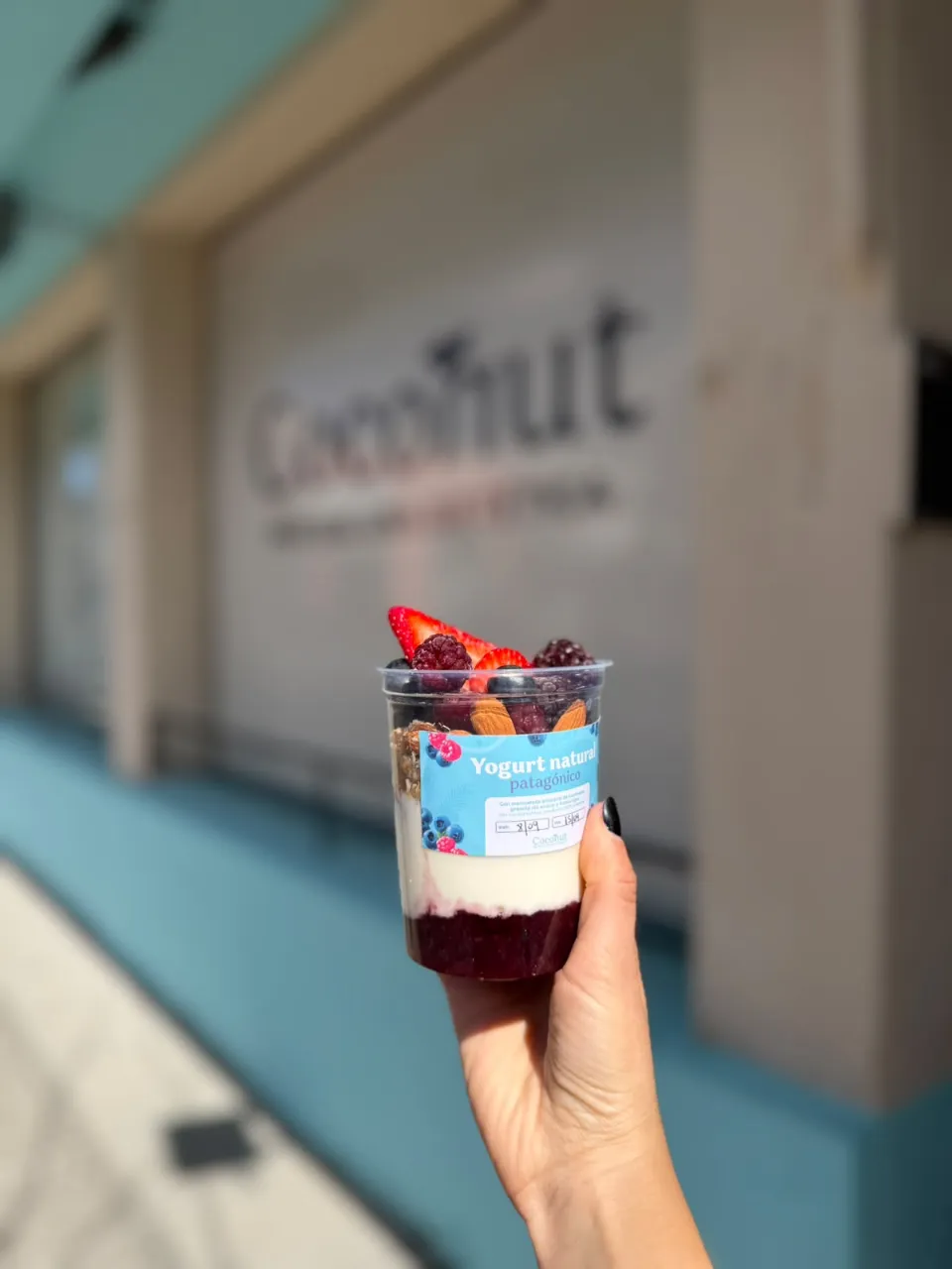Yogurt patagonico