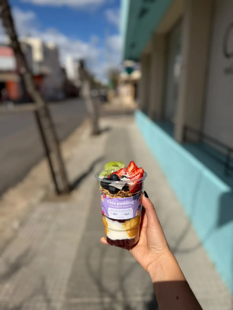 Chia pudding